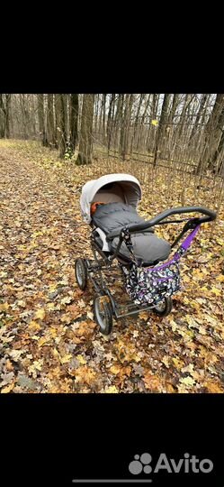 Коляска inglesina sofia comfort 2 в 1