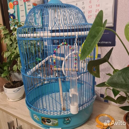 Клетка для попугайчика