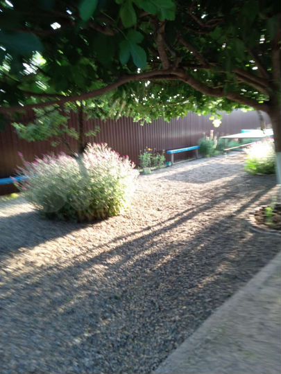 Комната 16 м², 1/1 эт.