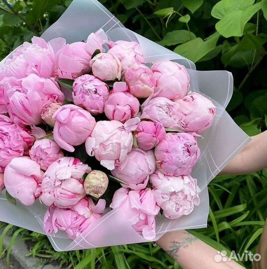 Пионы Розы Доставка