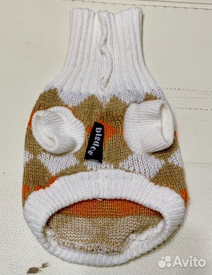 Одежда для маленькой собачки