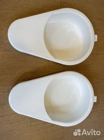 Утка медицинская