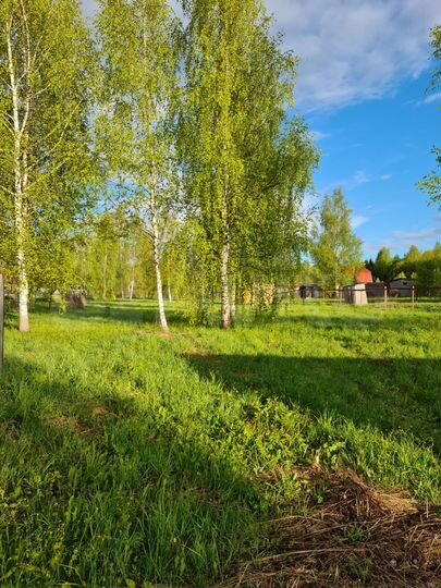 Участок 12 сот. (СНТ, ДНП)