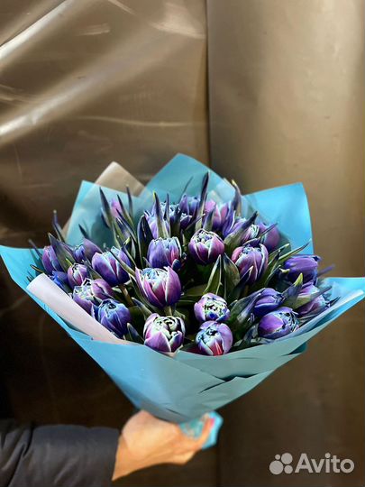 25 синих тюльпанов