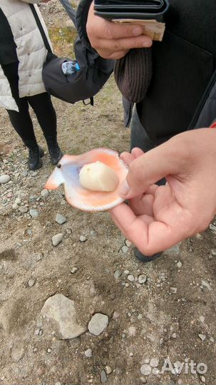 Тур в териберку