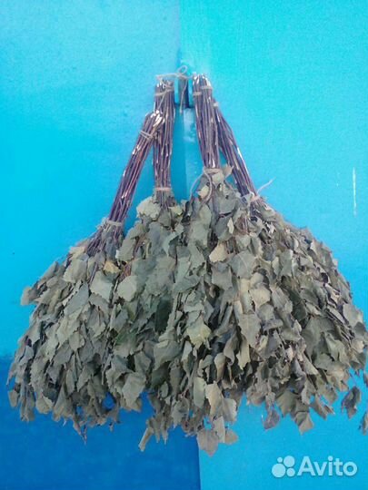 Веник березовый