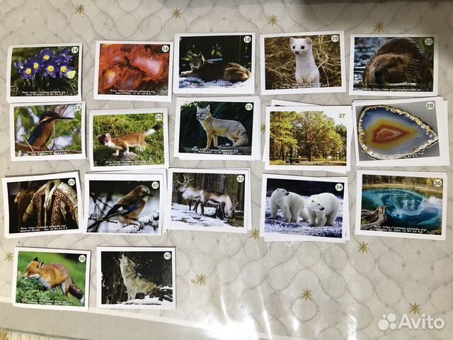 Наклейки Монетка «от Урала до Ямала»