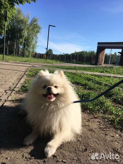 Вязка
