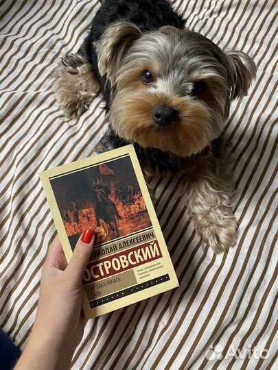 Книга Как закалялась сталь Николай Островский