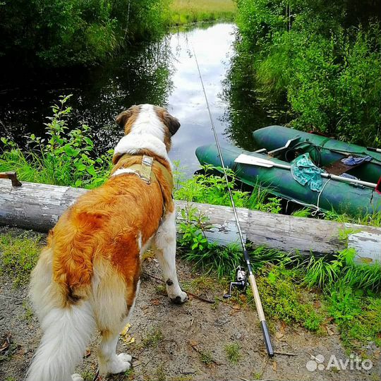 Лодка с мотором