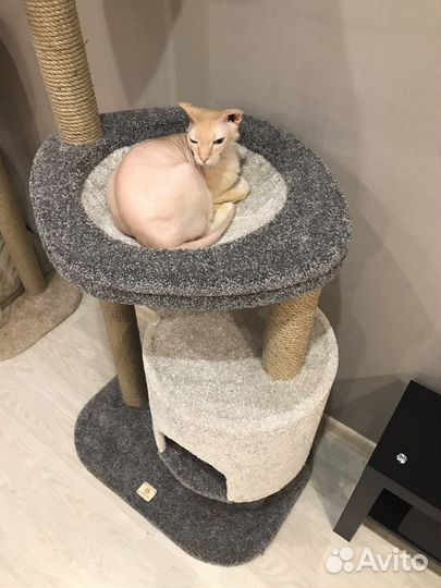 Игровой комплекс-когтеточка «Эльдорадо»