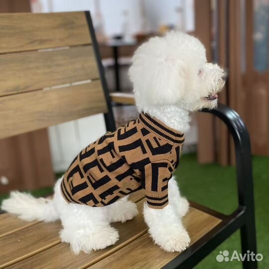 Свитер для собак и кошек Fendi