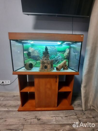 Аквариум с тумбой 200 литров