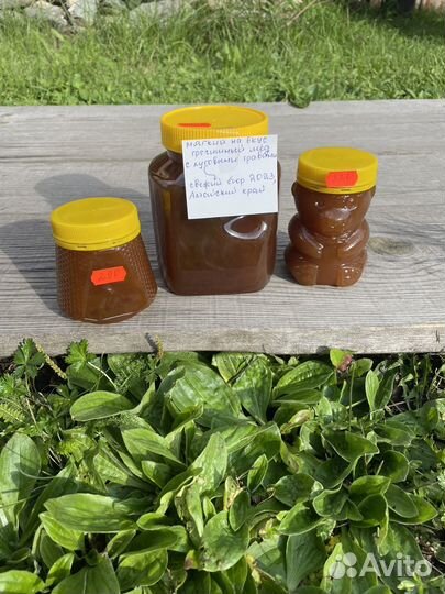 Доставка свежего меда из Горного Алтая в Омск