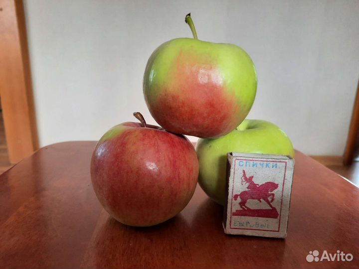 Саженцы плодовых деревьев