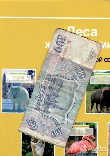 100 рублей 1993