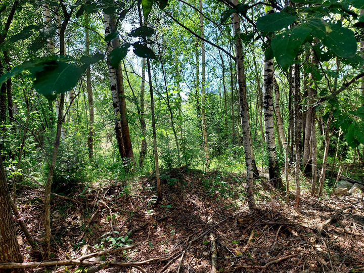 Участок 12 сот. (ИЖС)