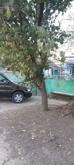 Дом 53 м² на участке 7 сот.