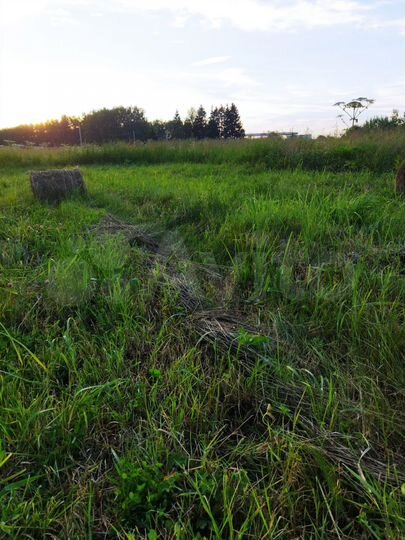 Участок 16,8 сот. (ИЖС)