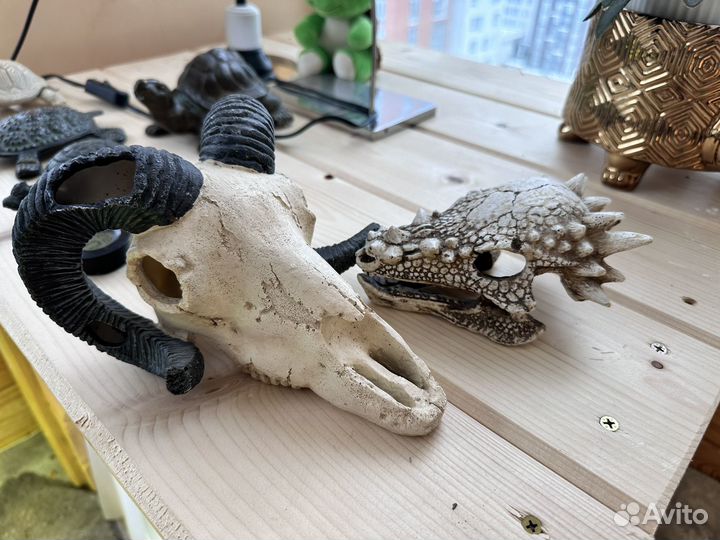 Декорации для террариума