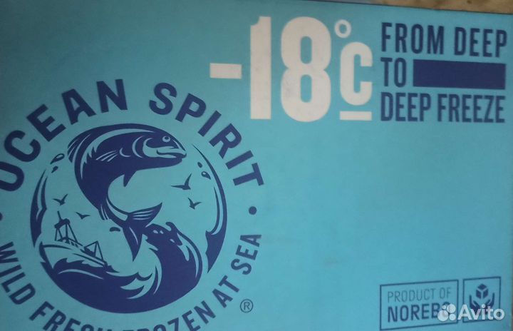 Креветка северная 120