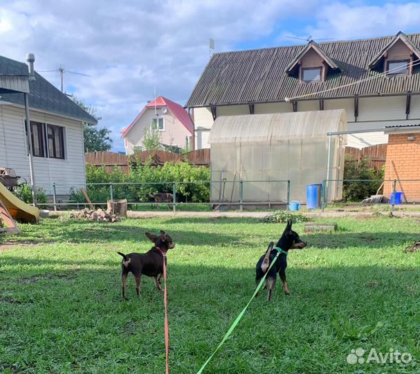 Уборка частного дома