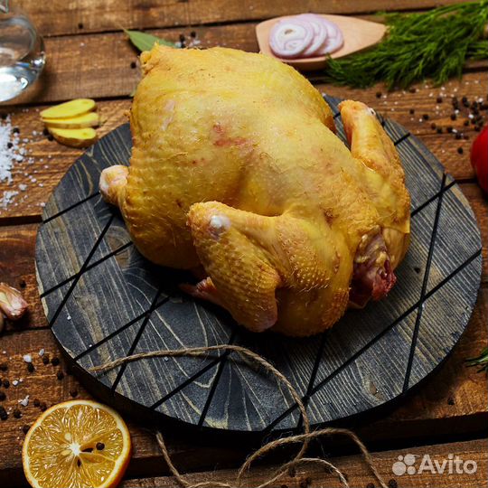 Бройлер домашний