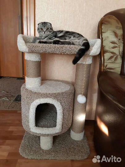 Когтеточка домик