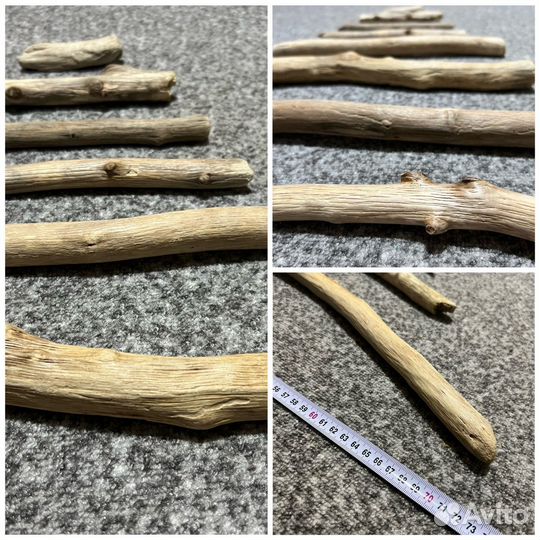 Ёлка Дрифтвуд