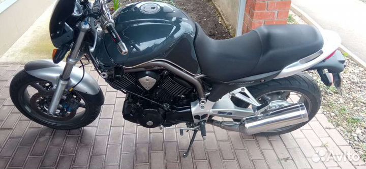 Bulldog 1100