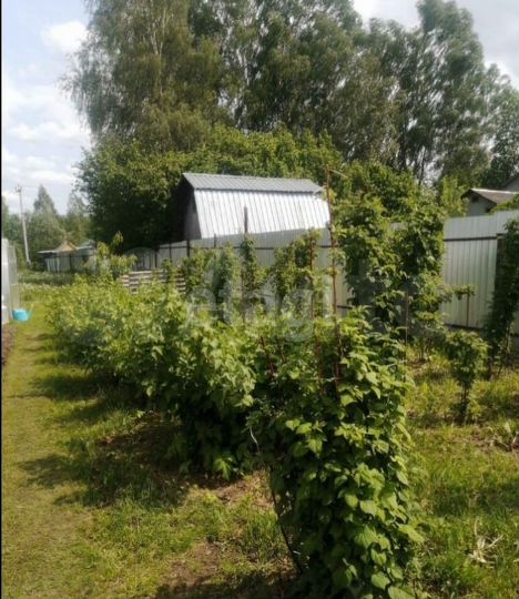 Дом 45,3 м² на участке 14 сот.