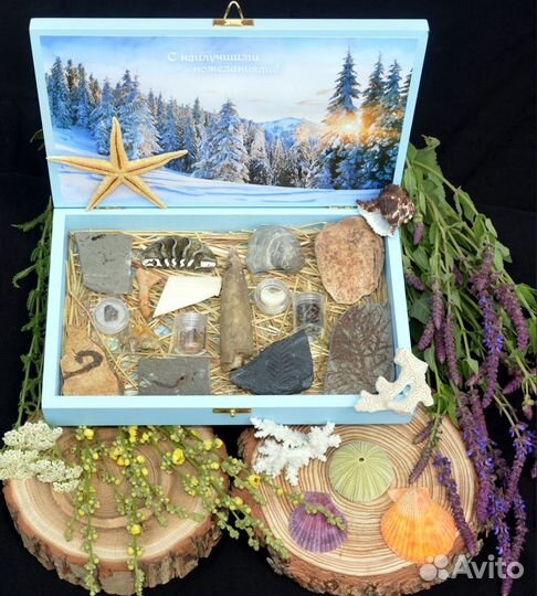 Наборы окаменелостей