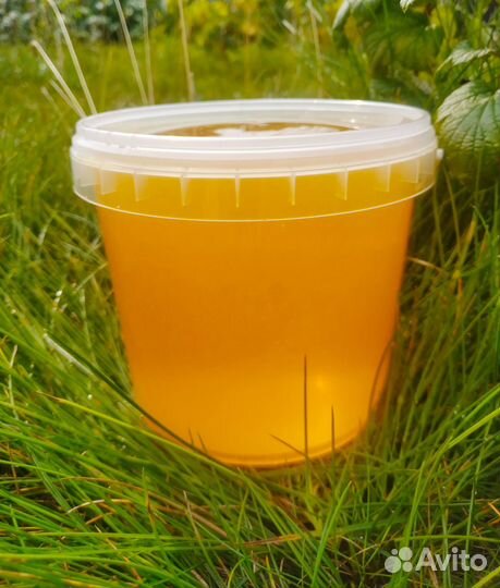 Горный Мёд Алтайский (Тигирекский) доставка