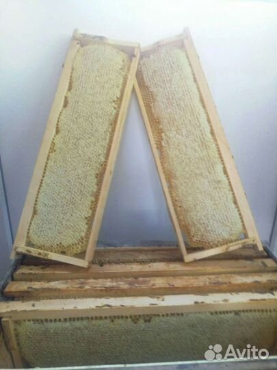 Мед. Разнотравье