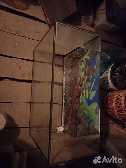 Террариум 80 литров