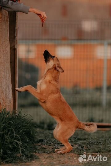 Зажигалочка Джуди