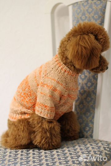 Джемпер для собак