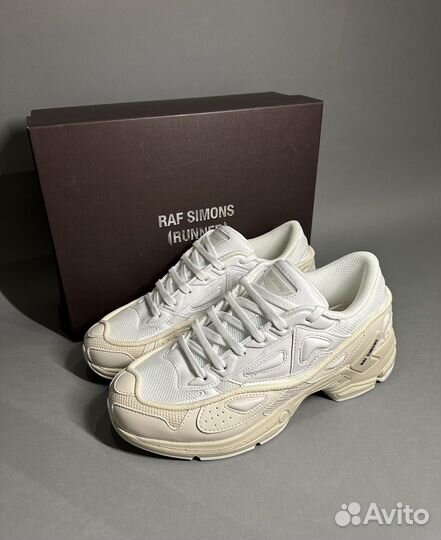 Raf Simons Pharaxus