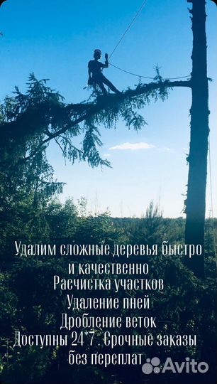 Удаление деревьев / Расчистка участков