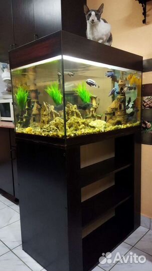 Аквариум с двусторонней тумбой, 180 л