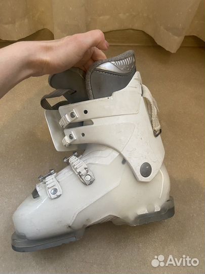 Горнолыжные ботинки dalbello