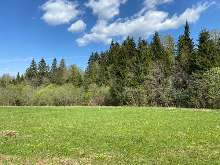 Участок 8 сот. (ИЖС)