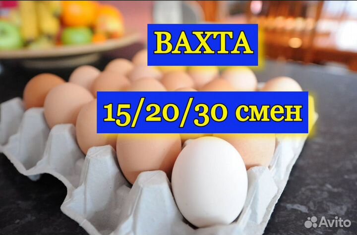 Вахта Подсобный рабочий Еженедельные авансы М/Ж