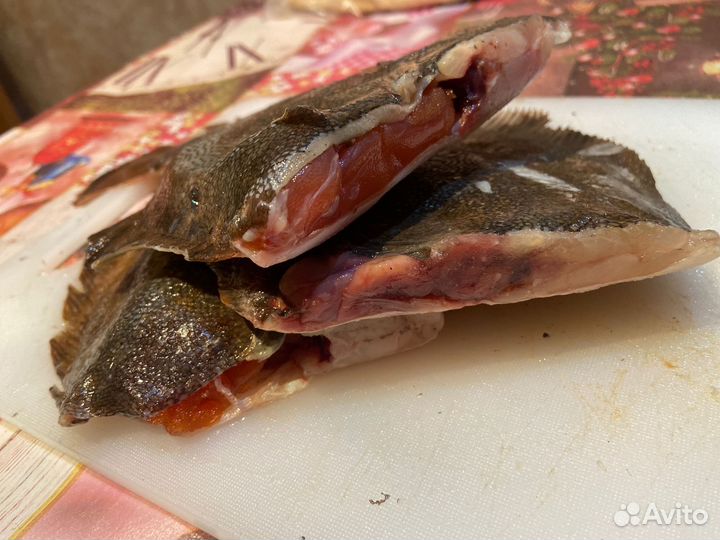 Камбала белобрюхая