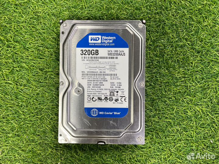 Western Digital WD Blue 320 гб WD3200aajs