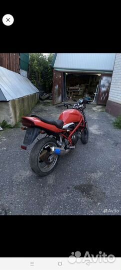 Suzuki bandit 250 (2)