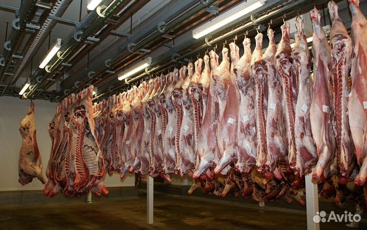 Разнорабочие на мясокомбинат 2200-2750 за смену