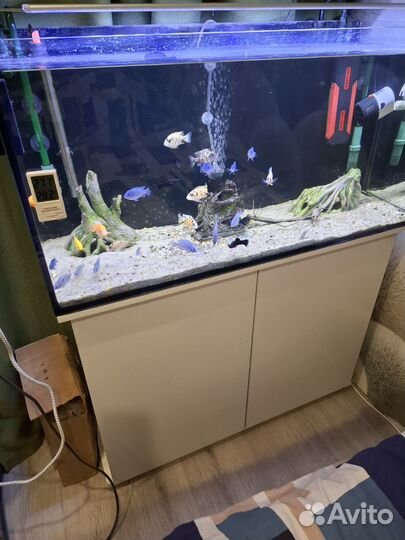 Аквариум