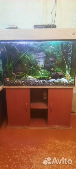 Аквариум с тумбой бу