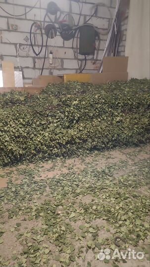 Веники для бани берёза дуб